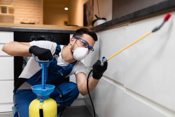 Best Pest Control Near Me  in Wilton, CA