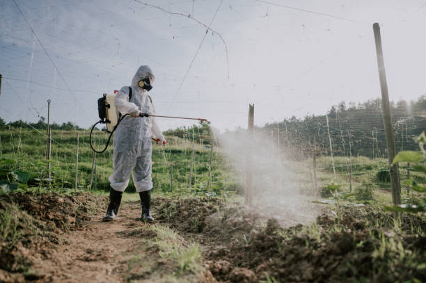 Best Best Pest Control Companies  in Wilton, CA